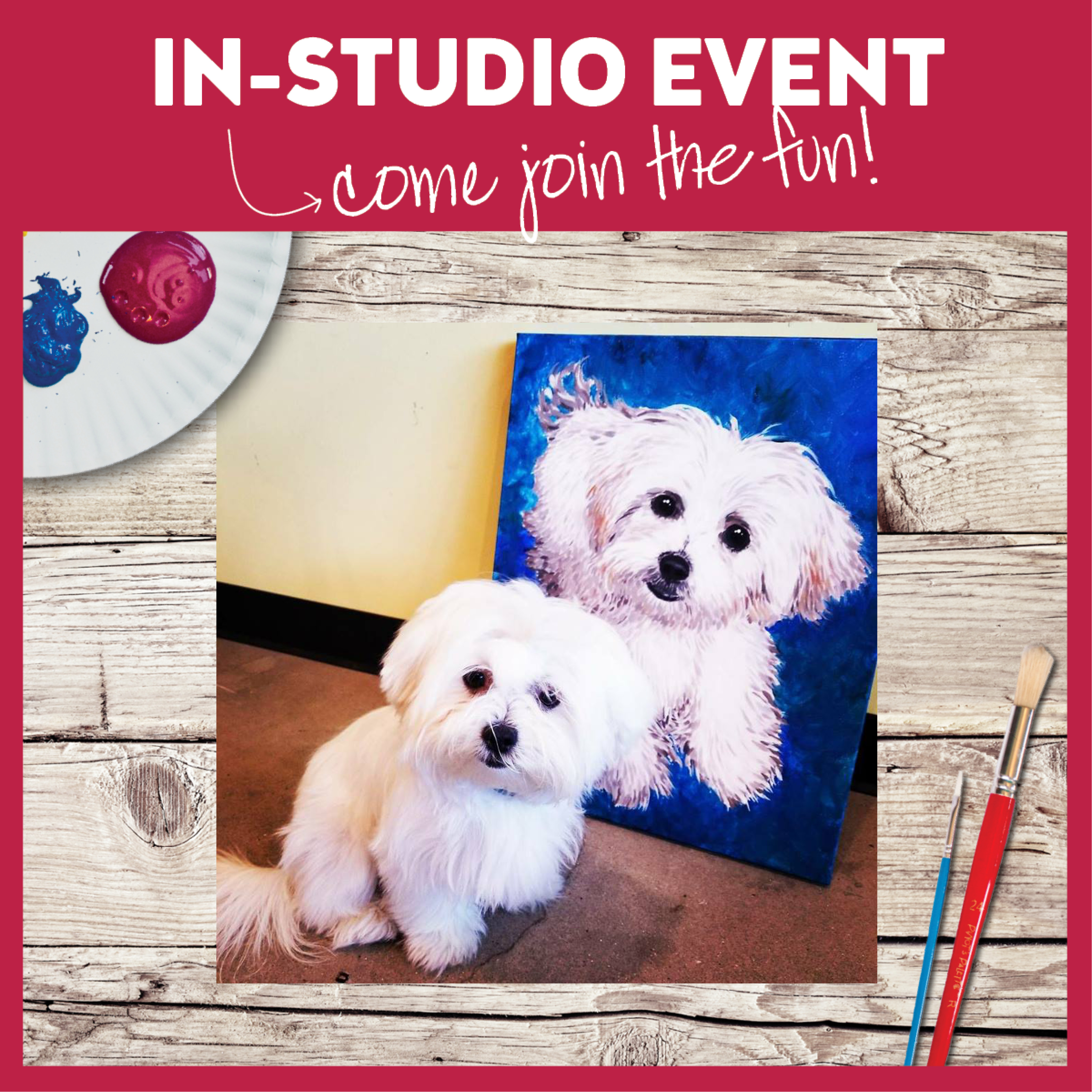 Paint Your Pet - Live In Studio